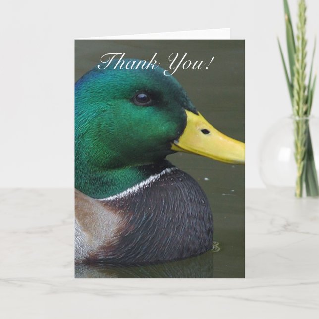 Vielen Dank Mallard Duck Grußkarte Dankeskarte (Vorderseite)