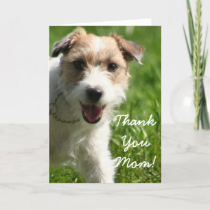 Vielen Dank Mama Jack Russell Terrier Grußkarte Dankeskarte