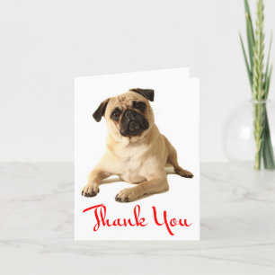 Vielen Dank Mops Welpen Hund Blank Note Card Dankeskarte