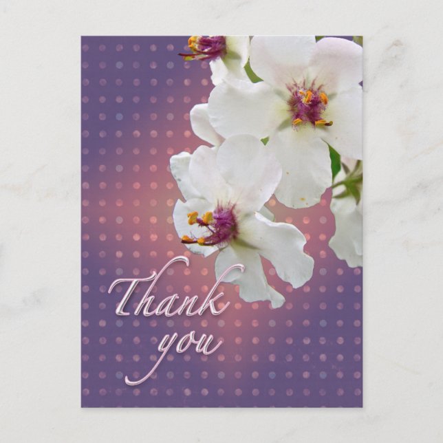 Vielen Dank, Moth Mullein Wildblume Postkarte (Vorderseite)