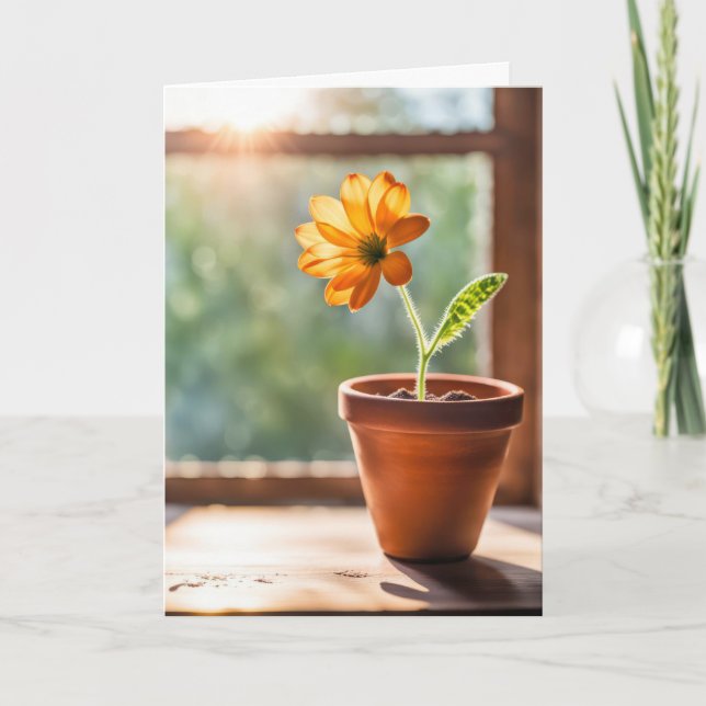 Vielen Dank Orange Daisy Dankeskarte (Vorderseite)