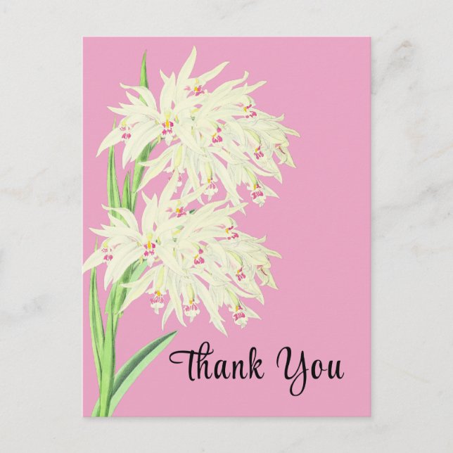 Vielen Dank Orchid Floral Postcard Postkarte (Vorderseite)