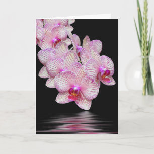 Vielen Dank Orchid Sympathy Card Karte