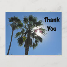 Vielen Dank, Palm Tree Tropical Sunburst Aufwertun