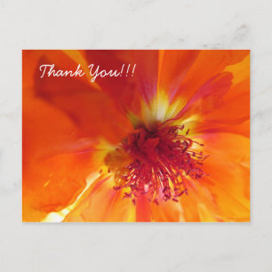 Vielen Dank Postcard mit orangefarbener Blume Postkarte