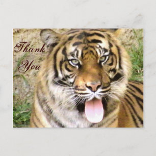 Vielen Dank Postkarte