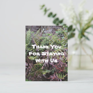 Vielen Dank Rental House Ferns Forest Cabin Guest Postkarte