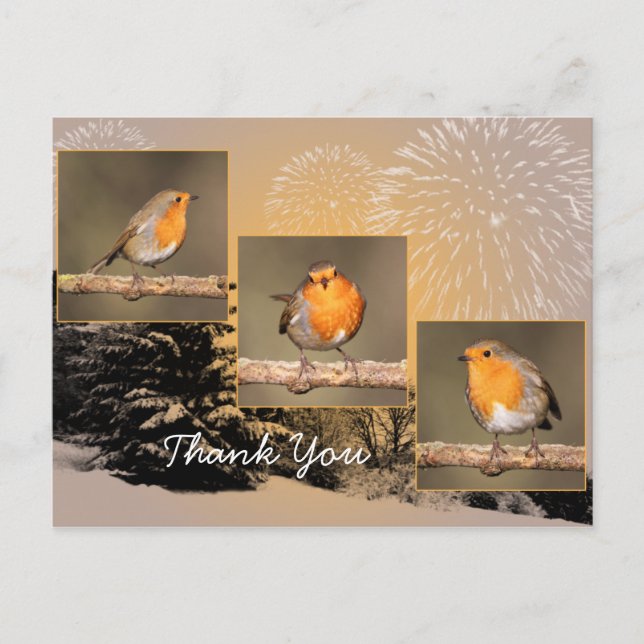 Vielen Dank Robin Tryptych Postcard Postkarte (Vorderseite)