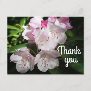 Vielen Dank Sakura Cherry Blossom #2 Postkarte