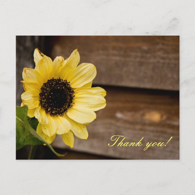 Vielen Dank Sunflower Postkarte (Vorderseite)