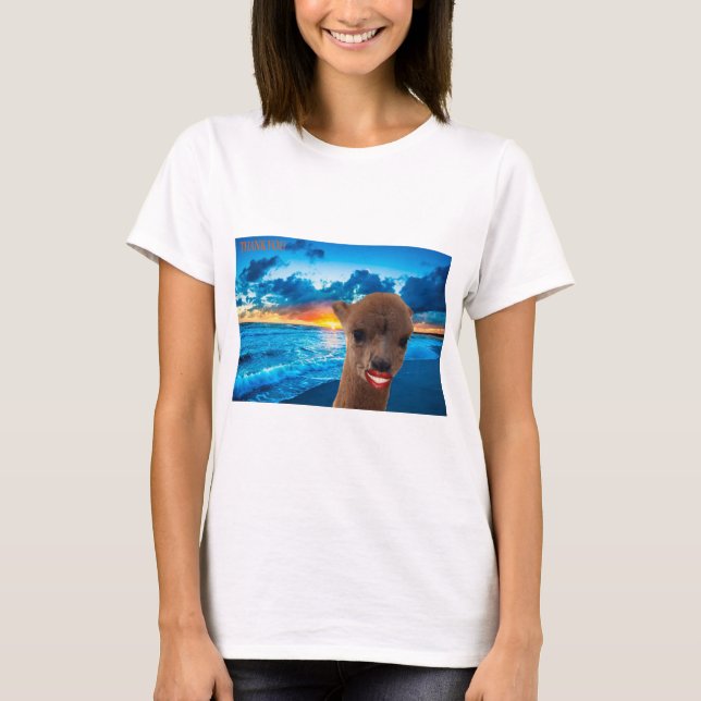 Vielen Dank tee alpaca on beach (Vorderseite)