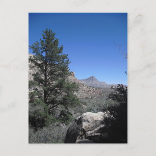 Vielen Dank, Vegas 09 274 Postkarte