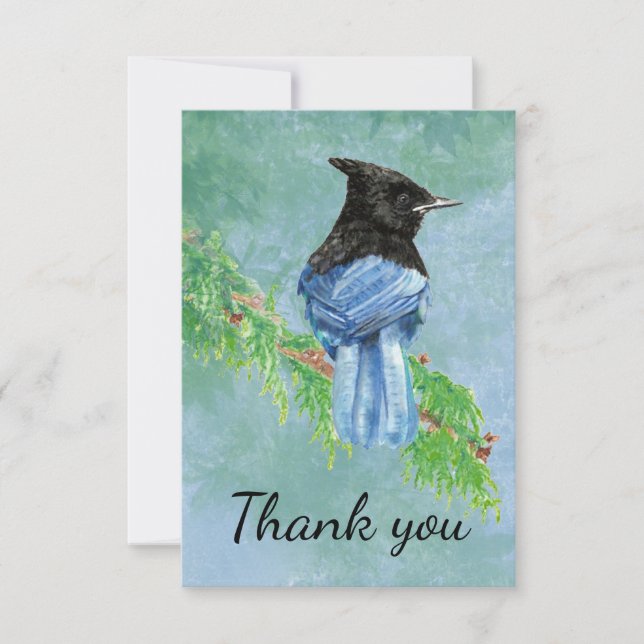 Vielen Dank Watercolor Stellar Jay Bird Dankeskarte (Vorderseite)