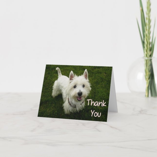 Vielen Dank West Highland Terrier Welpen-Karte Dankeskarte (Vorderseite)