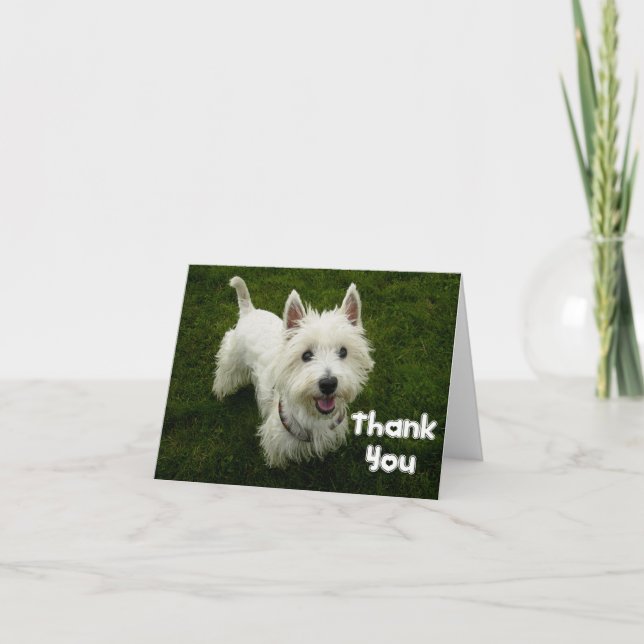 Vielen Dank West Highland Terrier Welpen-Karte Dankeskarte (Vorderseite)