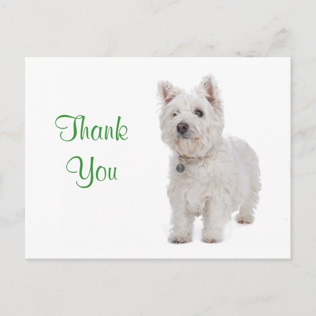 Vielen Dank White Westie Welppy Dog Gruß Postkarte (Vorderseite)