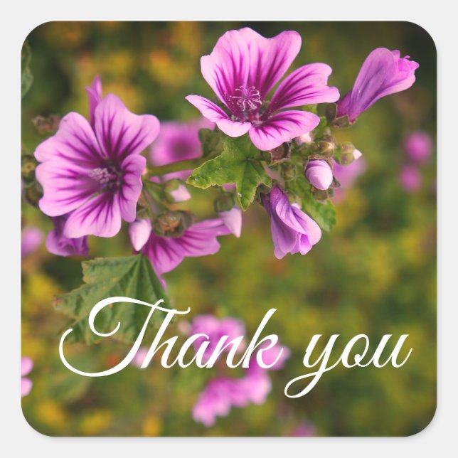 Vielen Dank Zebra Hollyhock Blume #2 Stickers (Vorderseite)