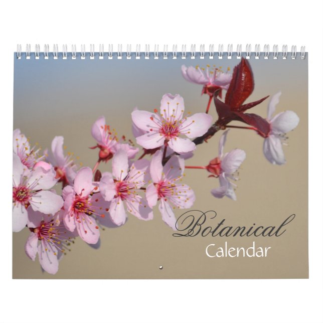 Vielfalt der Blume Kalender (Titelbild)