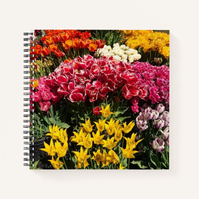 Vielfalt der Tulipen Notizbuch (Vorderseite)
