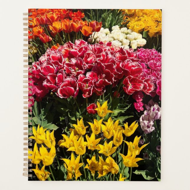 Vielfalt der Tulipen Planer (Vorderseite)