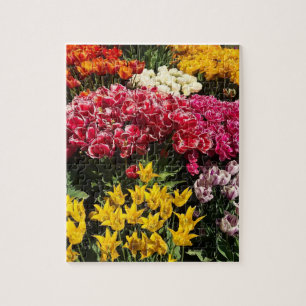 Vielfalt der Tulipen Puzzle