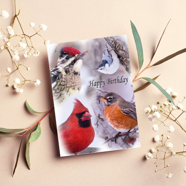 Vielfalt der Vögel - Geburtstagskarte Karte (Von Creator hochgeladen)