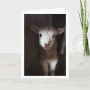 VIELLEICHT EIN BABY, ABER ICH KANN SAGEN **MERRY C KARTE