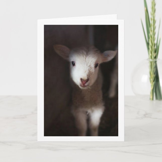 VIELLEICHT EIN BABY, ABER ICH KANN SAGEN **MERRY C KARTE (Vorderseite)