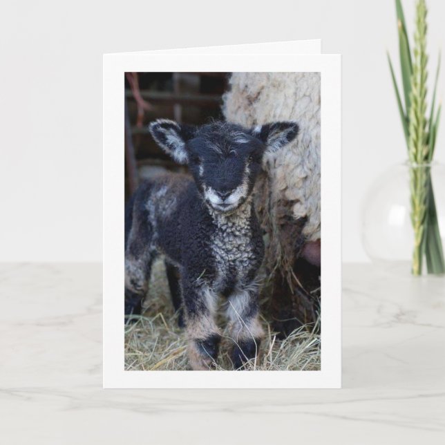 VIELLEICHT EIN "KID", ABER ICH KANN SAGEN **MERRY  KARTE (Vorderseite)