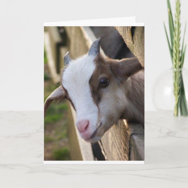 VIELLEICHT EIN "KID", ABER ICH KANN SAGEN **MERRY  KARTE (Vorderseite)