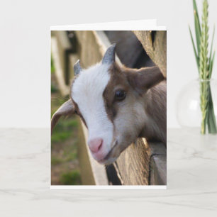 VIELLEICHT EIN "KID", ABER ICH KANN SAGEN **MERRY KARTE