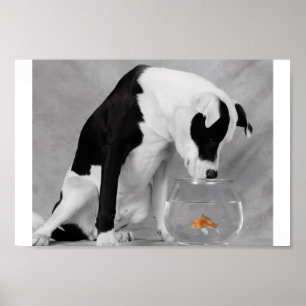 Vielleicht etwas zu essen? poster