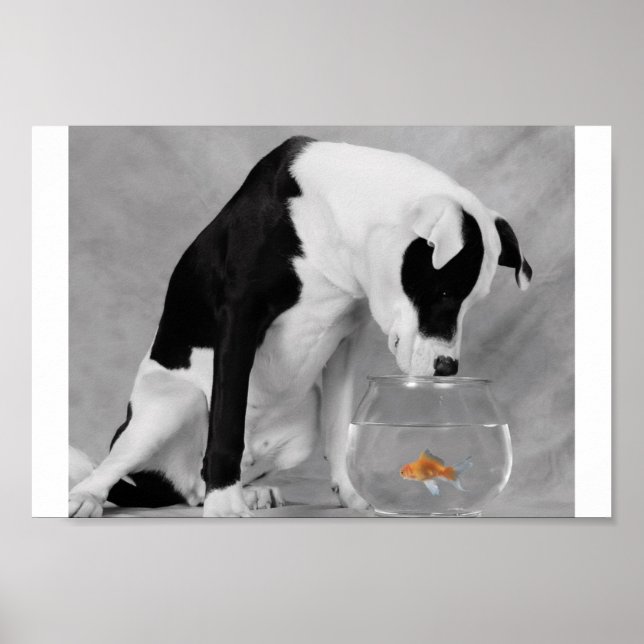 Vielleicht etwas zu essen? poster (Vorne)