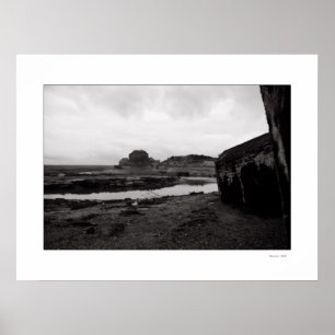 VIELLEICHT LESEN SIE ODER KEIN Poster