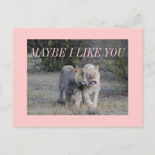 vielleicht postkarte