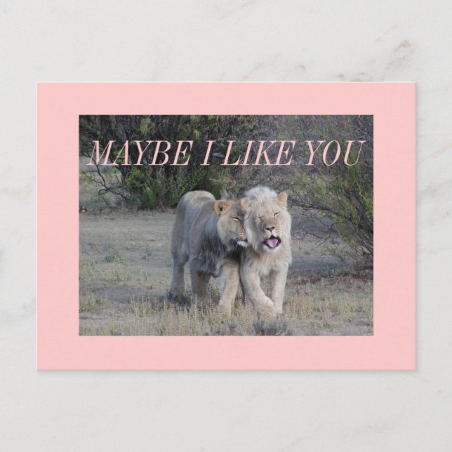 vielleicht postkarte (Vorderseite)