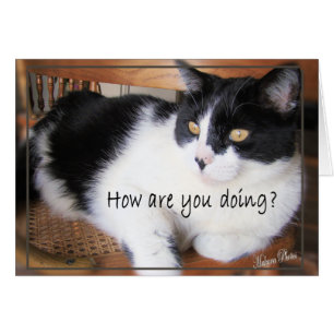 Vielseitig entscheiden Karte-Sie