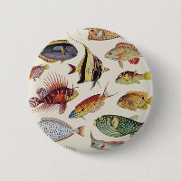 Vielzahl der Fische