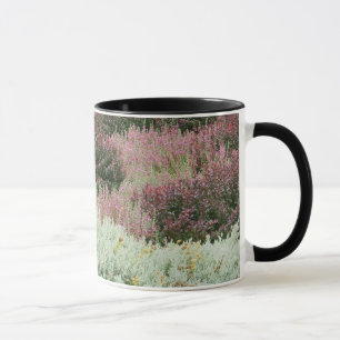 Vielzahl von Heide Tasse
