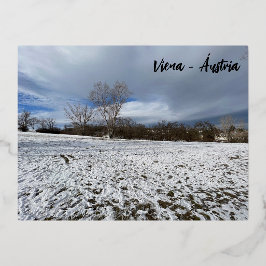 Viena - Áustria Folien Feiertagspostkarte