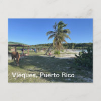 Vieques, Puerto Rico Postkarte