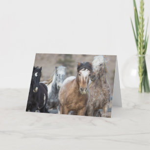 Vier Adoptionen - Galloping to Freedom Grußkarte Karte