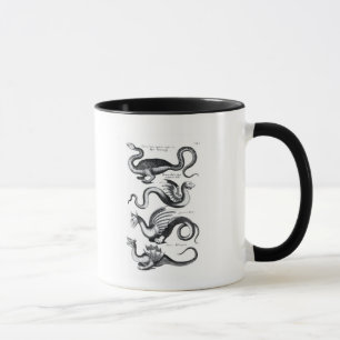 Vier Arten Drache Tasse