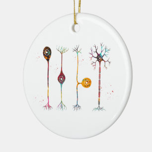 Vier Arten von Neuronen Keramik Ornament