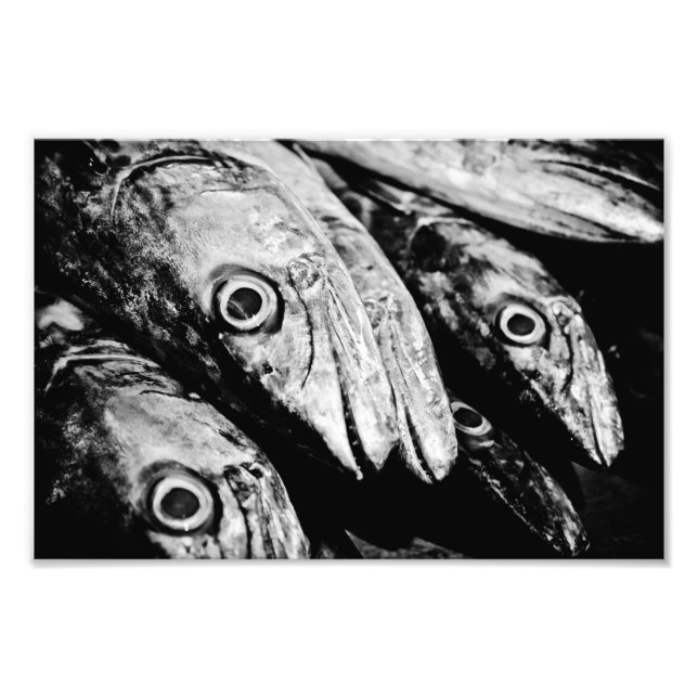 vier Augen Fotodruck (Vorne)