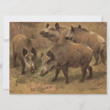 Vier Boars in einer französischen Landschaft (von 