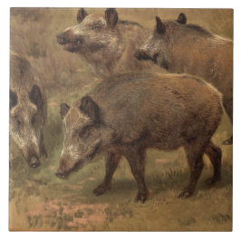 Vier Boars in einer grandiosen Landschaft (von Ros Fliese