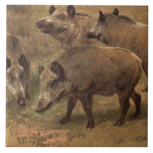 Vier Boars in einer grandiosen Landschaft (von Ros Fliese (Vorderseite)