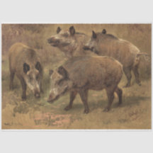 Vier Boars in einer grandiosen Landschaft (von Ros