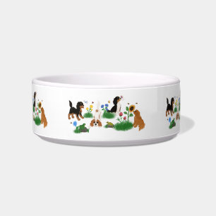 Vier Cavalier-Spaniels in einem Bereich von Blume Napf